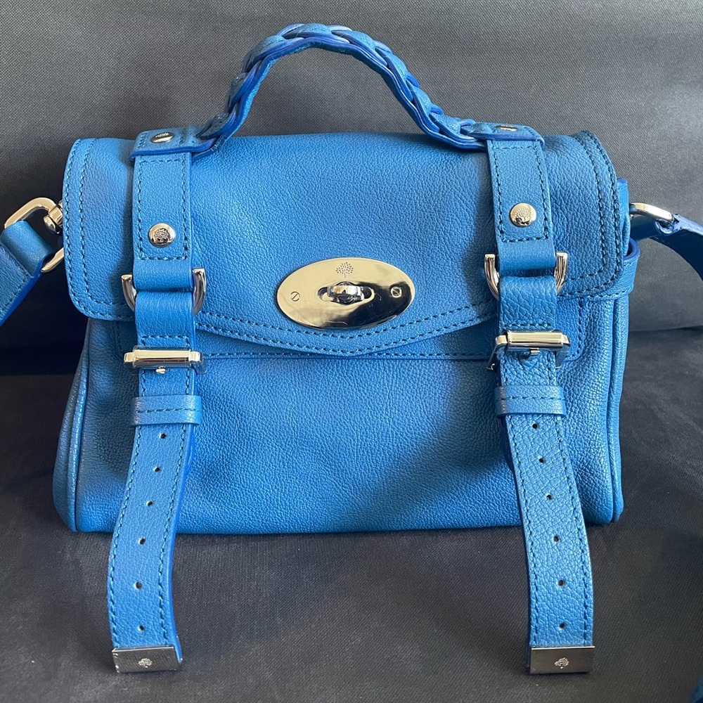 Mulberry Mini Alexa - Picture 2 of 7